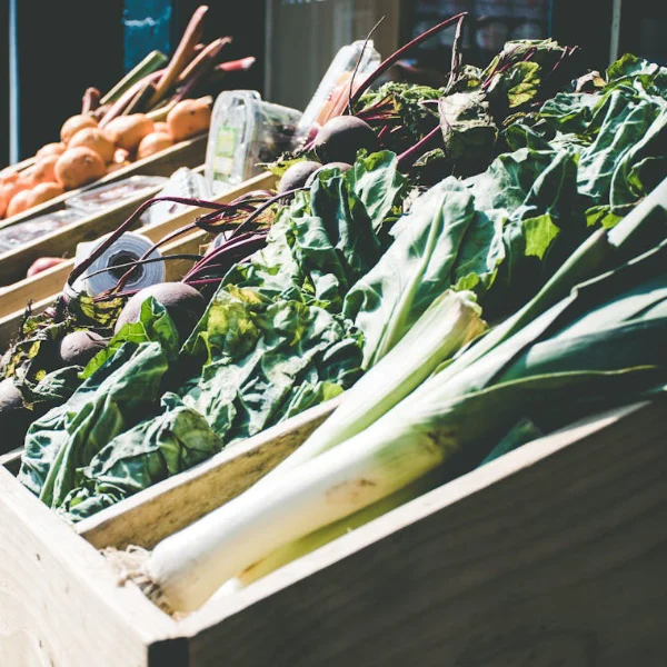 Gourmet Guernsey E Bike Tour